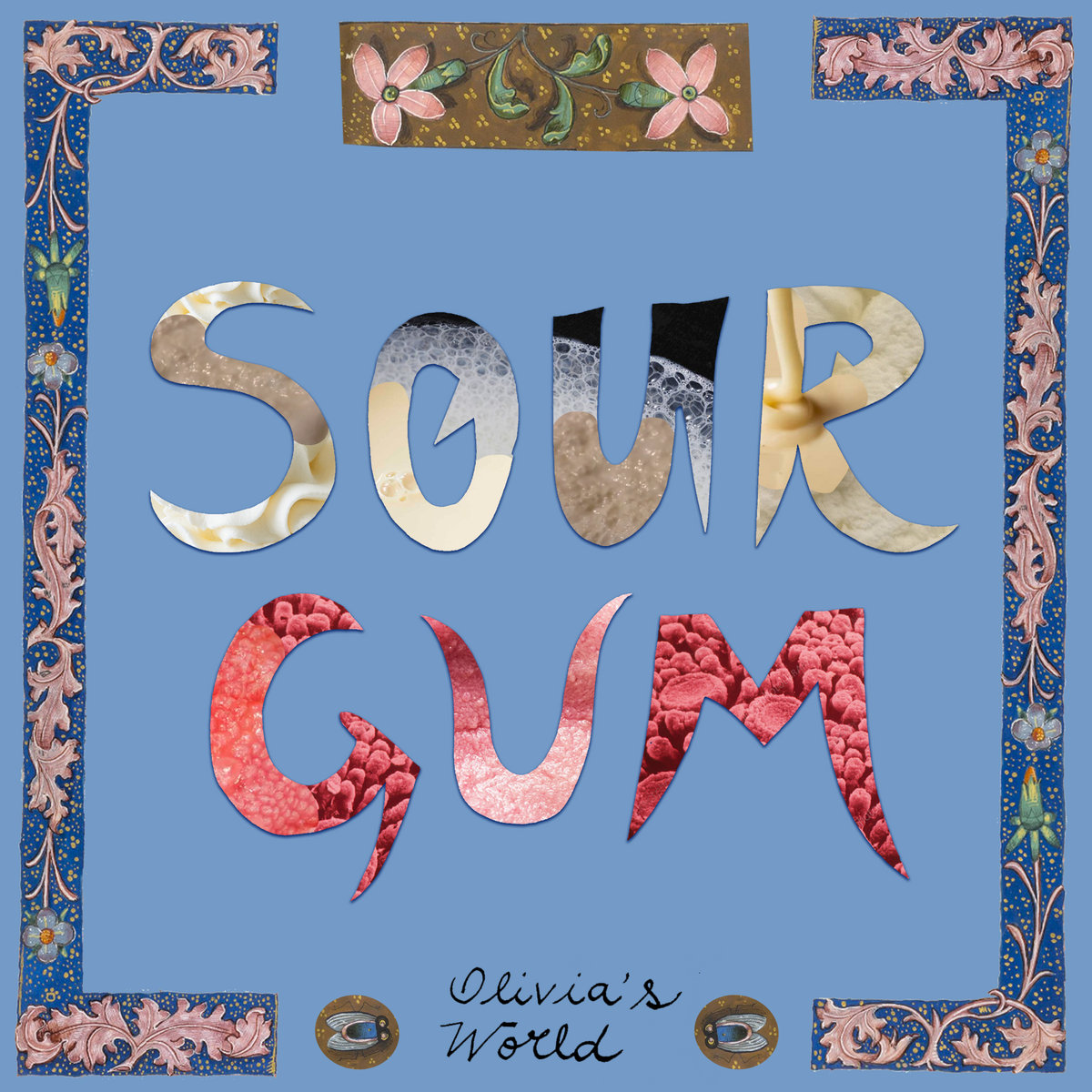 Olivia's World - Sourgum