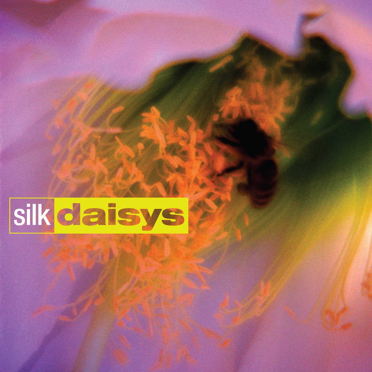 Silk Daisys