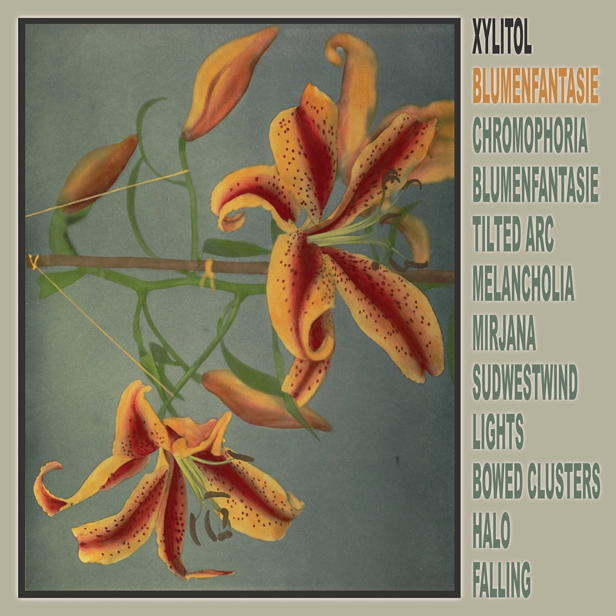 Xylitol - Blumenfantasie