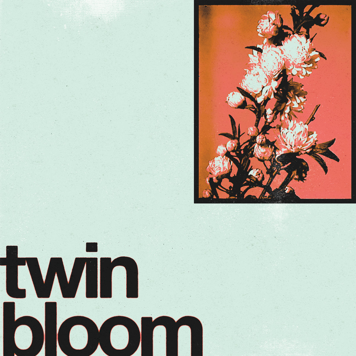 Twin Bloom - S/T