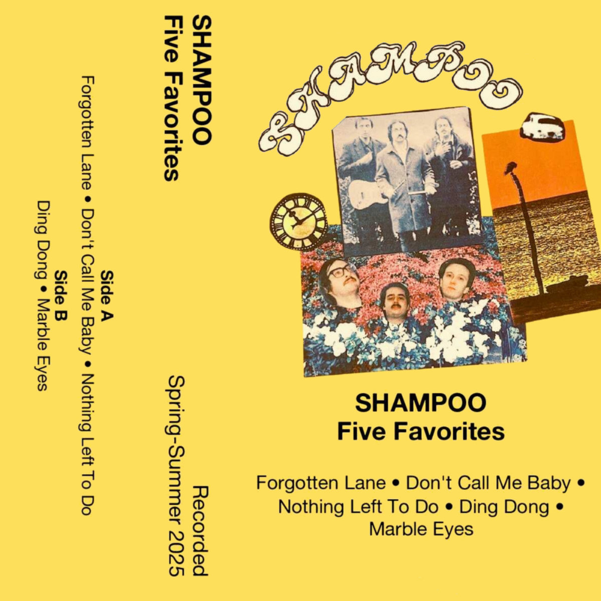 Shampoo - Five Favorites
